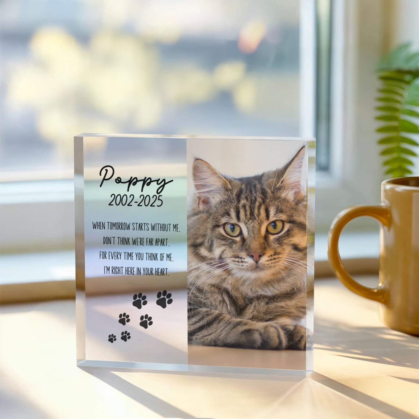 Personalized Pet Memorial Gift | Custom Pet Remembrance Acrylic Block With Photo, Cat or Dog Sympathy Gift